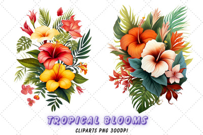 Watercolor Hibiscus Clipart, tropical bouquets and flowers PNG clip art graphics instant download for commercial use Sublimation FloridPrintables 