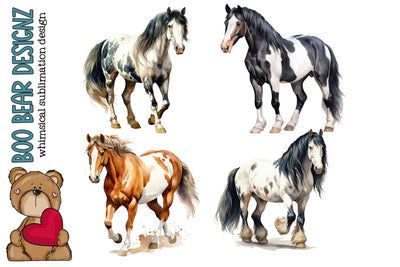 Watercolor Horse Clipart Sublimation Boo Bear Designz 