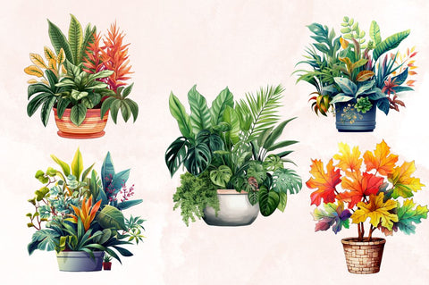Watercolor Houseplants Pot Sublimation Bundle Sublimation Designangry 