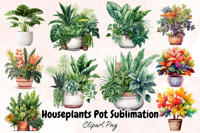 Watercolor Houseplants Pot Sublimation Bundle Sublimation Designangry 