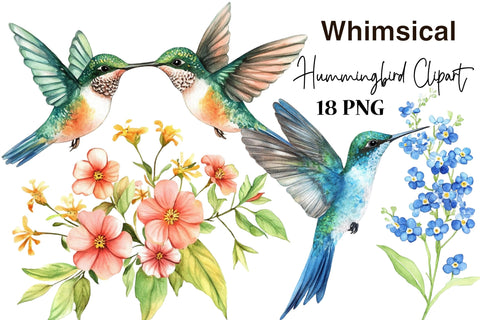 Watercolor Hummingbird Clipart PNG Sublimation SVGArt 