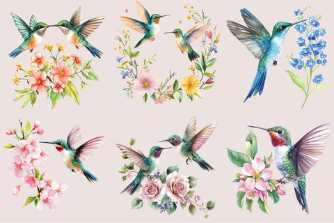 Watercolor Hummingbird Clipart PNG Sublimation SVGArt 