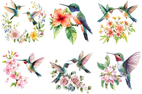 Watercolor Hummingbird Clipart PNG Sublimation SVGArt 