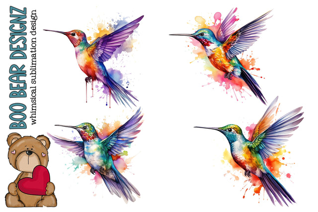 Watercolor HummingBird Clipart Sublimation Boo Bear Designz 