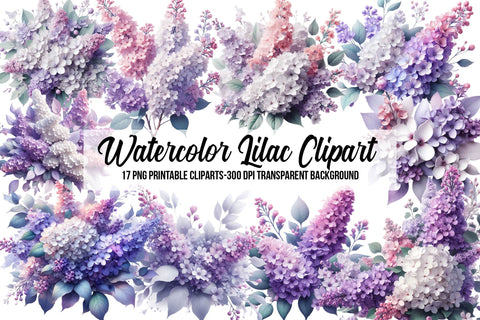Watercolor Lilac Clipart Sublimation Rupkotha 