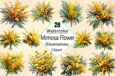 Watercolor Mimosa Flower Sublimation Clipart Bundle Sublimation SVGArt 