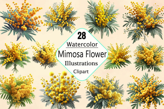 Watercolor Mimosa Flower Sublimation Clipart Bundle Sublimation SVGArt 