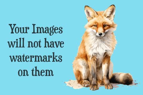 Watercolor Mother and baby Fox Clipart Sublimation Boo Bear Designz 