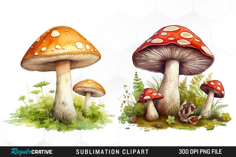 Watercolor Mushroom Clipart Bundle Sublimation Regulrcrative 