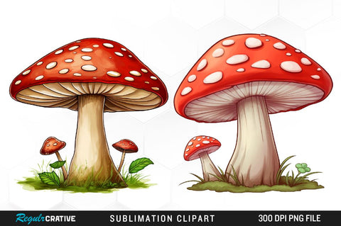 Watercolor Mushroom Clipart Bundle Sublimation Regulrcrative 