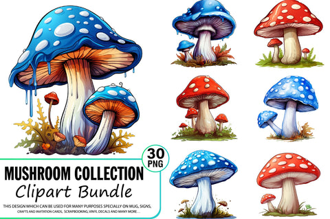 Watercolor Mushroom Clipart Bundle Sublimation Regulrcrative 