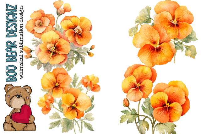 Watercolor Pastel Orange Pansy Clipart Sublimation Boo Bear Designz 