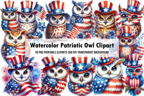 Watercolor Patriotic Owl Clipart Sublimation Rupkotha 
