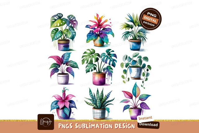Watercolor Potted Houseplants Illustration Sublimation Png Sublimation Designangry 