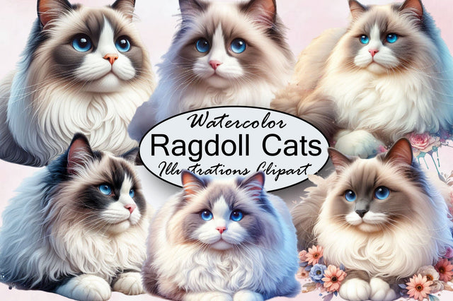 Watercolor Ragdoll Cats Clipart Bundle Sublimation SVGArt 