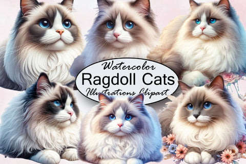 Watercolor Ragdoll Cats Clipart Bundle Sublimation SVGArt 