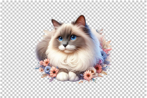 Watercolor Ragdoll Cats Clipart Bundle Sublimation SVGArt 