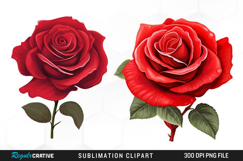 Watercolor Red Rose Clipart Bundle Sublimation Regulrcrative 