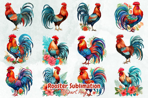 Watercolor Rooster Sublimation Clipart Bundle Sublimation Designangry 
