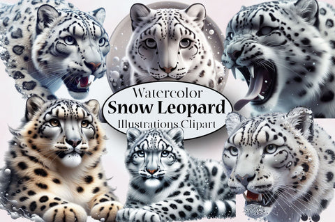 Watercolor Snow Leopard Clipart PNG Sublimation SVGArt 
