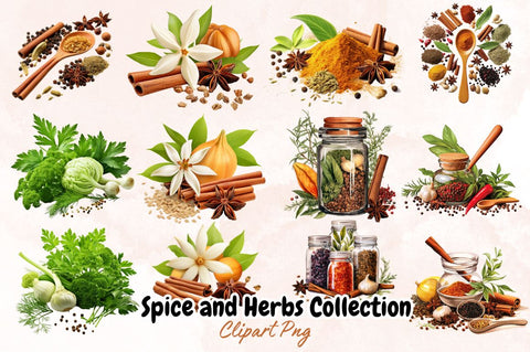Watercolor Spice and Herbs Collection Clipart Bundle Sublimation Designangry 