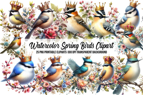 Watercolor Spring Birds Clipart Sublimation Rupkotha 
