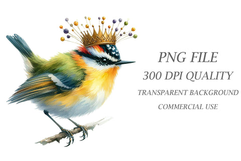 Watercolor Spring Birds Clipart Sublimation Rupkotha 