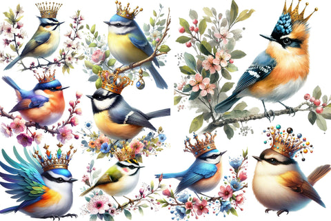 Watercolor Spring Birds Clipart Sublimation Rupkotha 