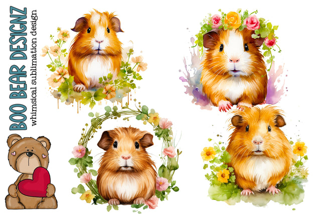 Watercolor Spring Guinea Pig Clipart Sublimation Boo Bear Designz 