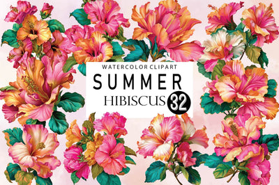Watercolor Summer Hibiscus Clipart Sublimation SVGArt 