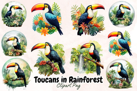 Watercolor Toucan in Rainforest Sublimation Bundle Sublimation Designangry 