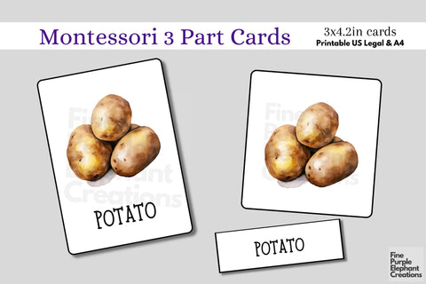 Watercolor Vegetable Flashcards | Preschool Montessori Cards Digital Pattern Fine Purple Elephant Creations 