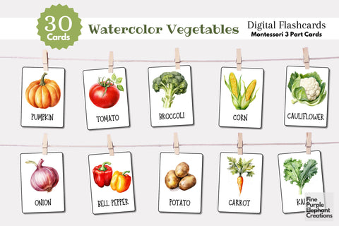 Watercolor Vegetable Flashcards | Preschool Montessori Cards Digital Pattern Fine Purple Elephant Creations 