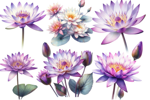 Watercolor Water Lily Clipart Sublimation Rupkotha 