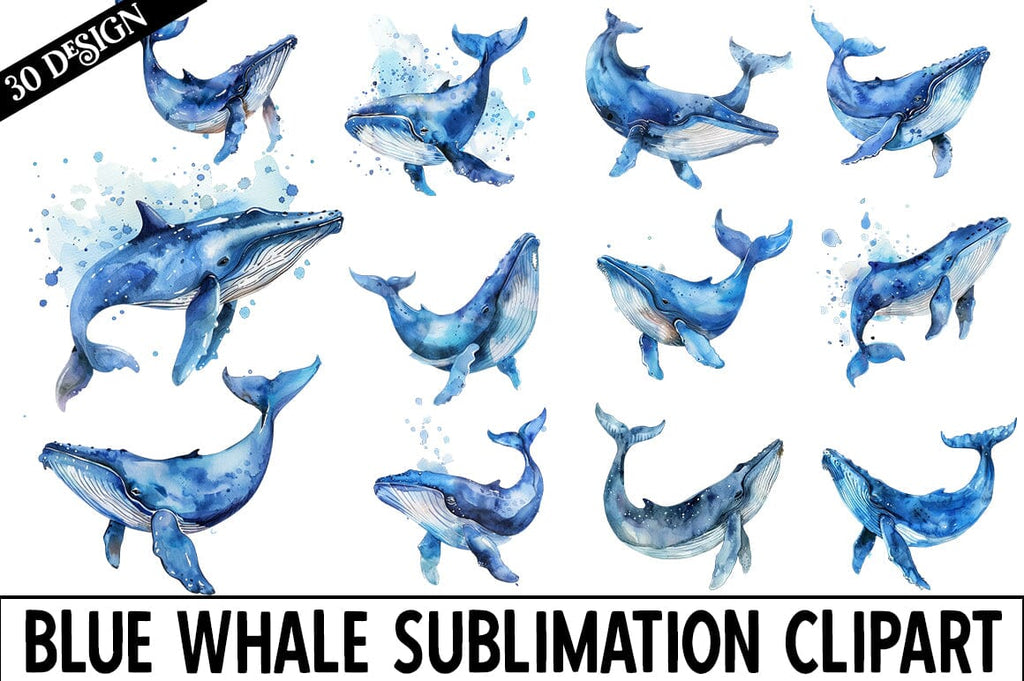 Watercolor Whales Clipart Bundle - So Fontsy