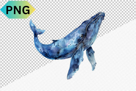 Watercolor Whales Clipart Bundle SVG CraftingStudio 