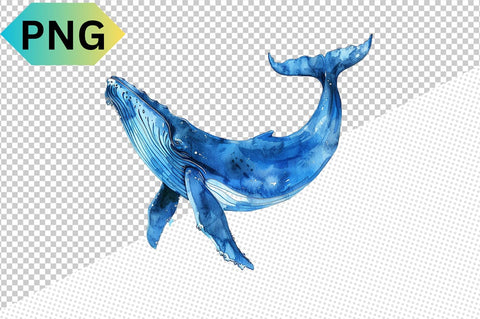 Watercolor Whales Clipart Bundle SVG CraftingStudio 