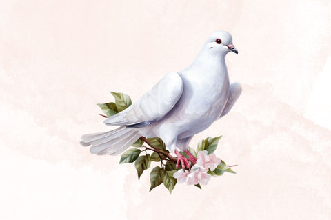 Watercolor White Pigeons Clipart Bundle Sublimation Designangry 