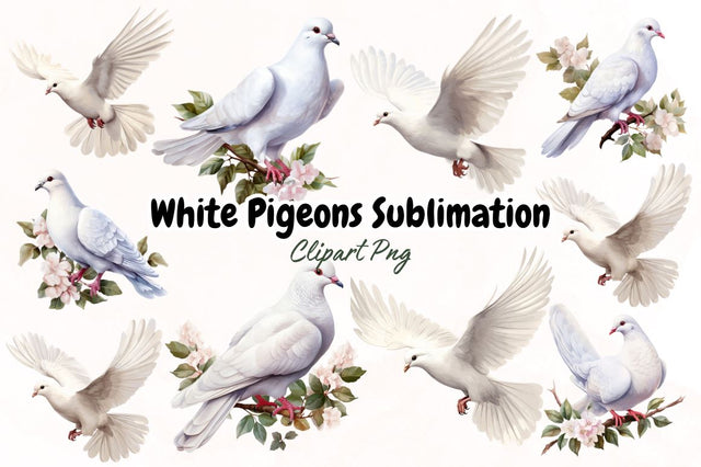Watercolor White Pigeons Clipart Bundle Sublimation Designangry 