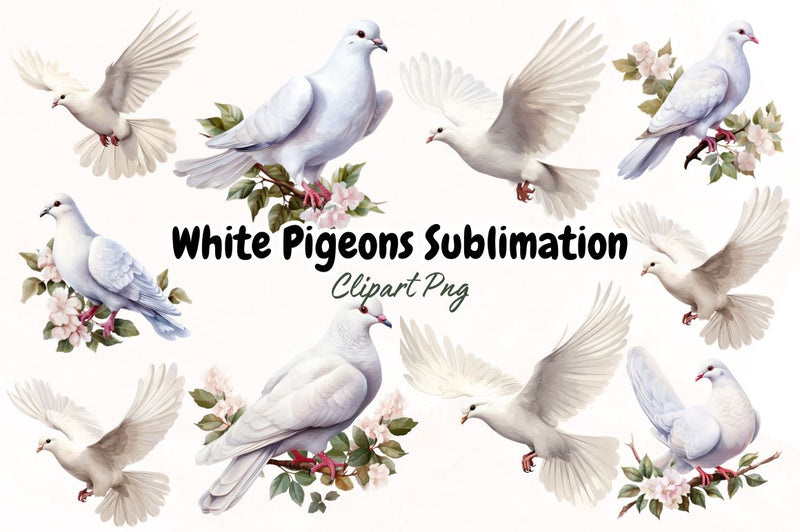 Watercolor White Pigeons Clipart Bundle Sublimation Designangry 
