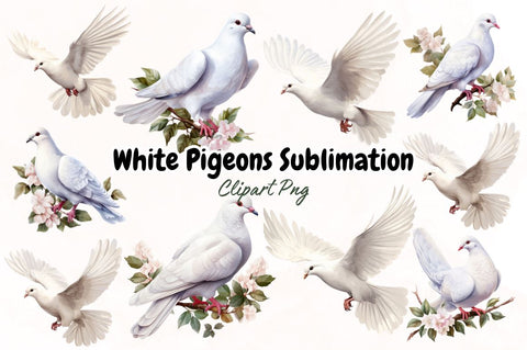 Watercolor White Pigeons Clipart Bundle Sublimation Designangry 