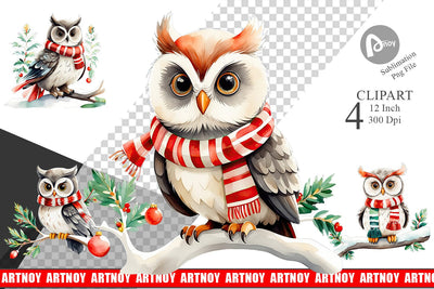 Watercolor Winter Owl Clipart Sublimation artnoy 