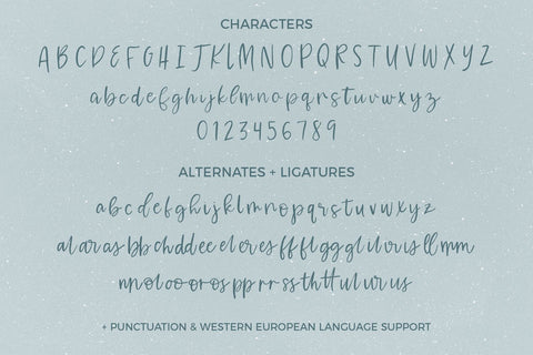 Waterssong Brush Script Font Beck McCormick 