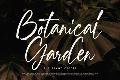 Watlington - Handwritten Font Font Alpaprana Studio 