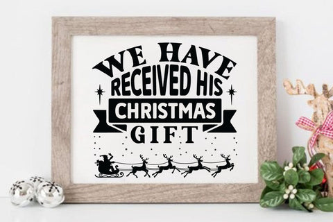 We have received his christmas gift SVG Angelina750 