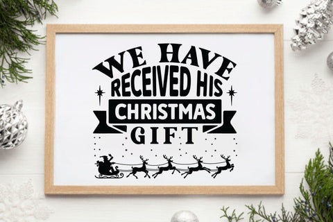 We have received his christmas gift SVG Angelina750 