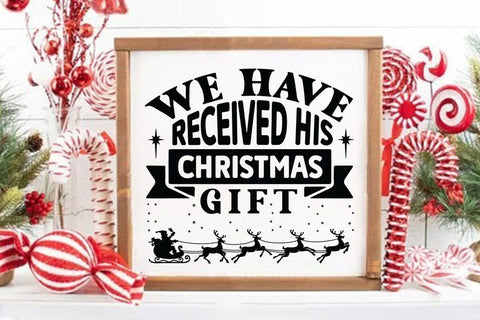 We have received his christmas gift SVG Angelina750 