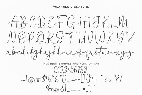 Weaknes Signature | Handwritten Font Font Rotterlab studio 