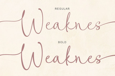 Weaknes Signature | Handwritten Font Font Rotterlab studio 