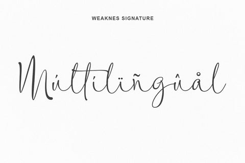 Weaknes Signature | Handwritten Font Font Rotterlab studio 